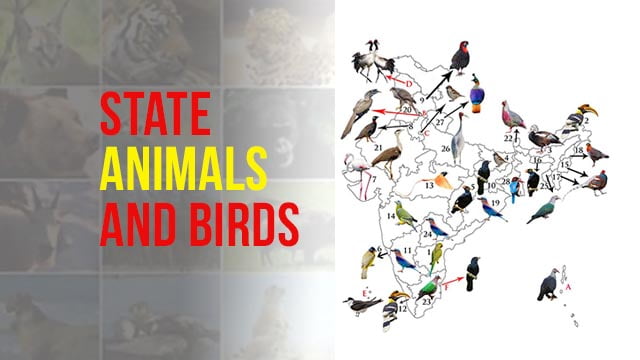 State Animal & Bird All States of India: भारत के राज्य पक्षी और पशु